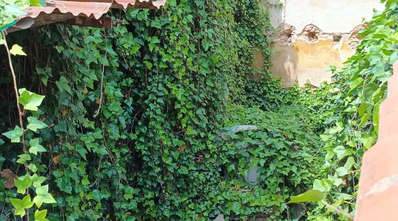 Valencia - Benifaió - 90m2