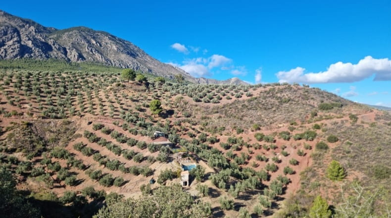 Jaén - Huelma - 50000m2
