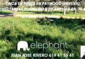 Country house with land for sale on HALCONERAS ALTAS, Paymogo, ref: TR106123 photo