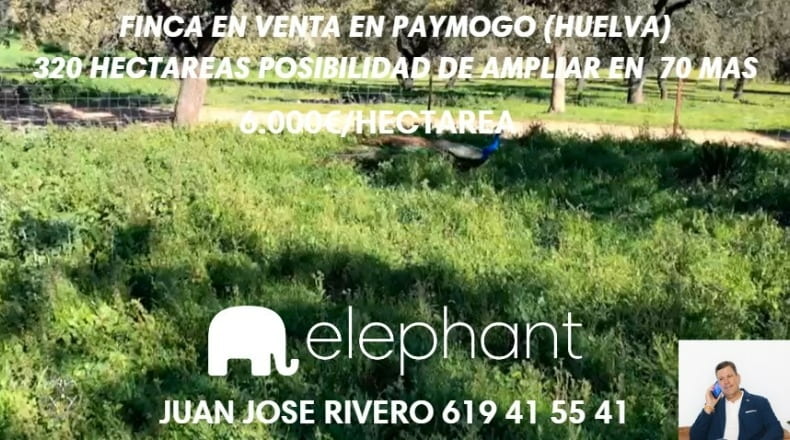 Huelva - Paymogo - 3200000m2