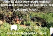 Country house with land for sale on HALCONERAS ALTAS, Paymogo, ref: TR106123 photo