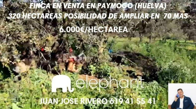 Huelva - Paymogo - 3200000m2