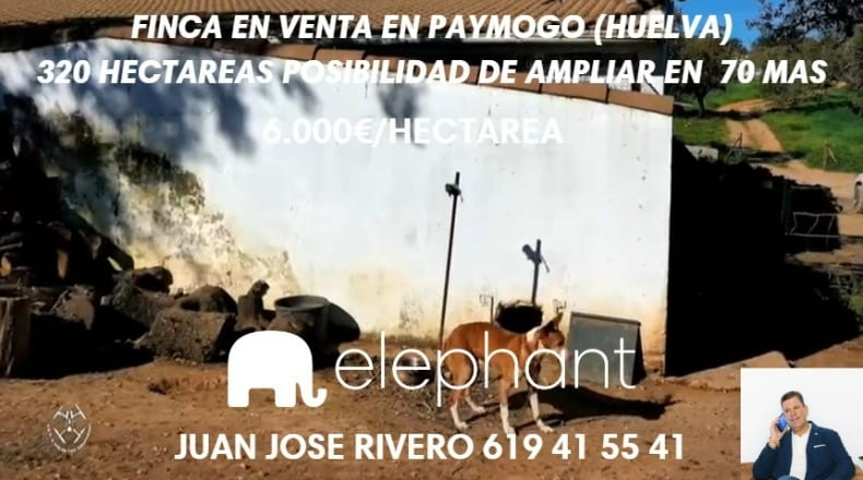 Huelva - Paymogo - 3200000m2