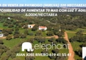 Country house with land for sale on HALCONERAS ALTAS, Paymogo, ref: TR106123 photo