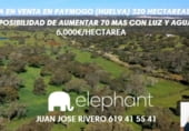Country house with land for sale on HALCONERAS ALTAS, Paymogo, ref: TR106123 photo
