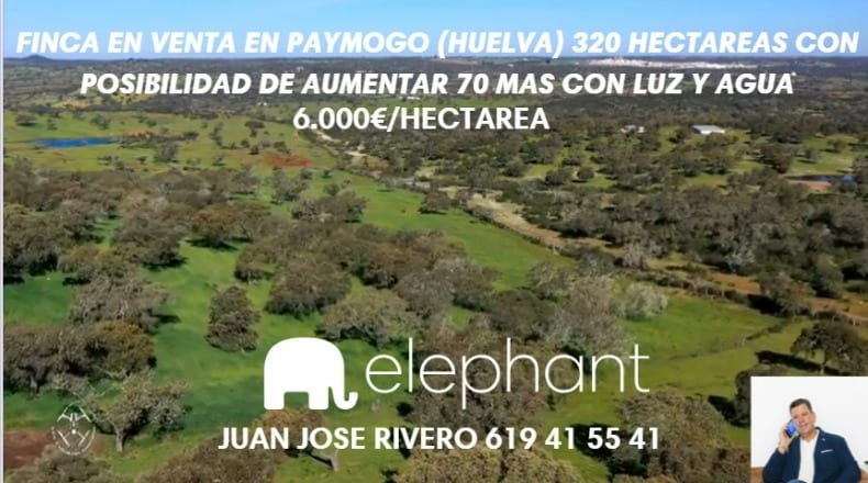 Huelva - Paymogo - 3200000m2