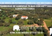 Country house with land for sale on HALCONERAS ALTAS, Paymogo, ref: TR106123 photo