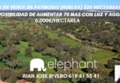 Country house with land for sale on HALCONERAS ALTAS, Paymogo, ref: TR106123 photo