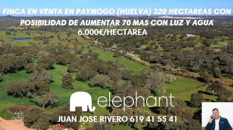 Huelva - Paymogo - 3200000m2