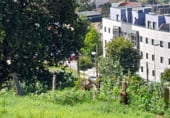 Terreno no urbanizable en venta en la Camiño Pardiñeiros de Abaixo, Vigo, ref: TR106218 foto