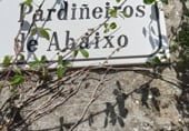 Terreno no urbanizable en venta en la Camiño Pardiñeiros de Abaixo, Vigo, ref: TR106218 foto