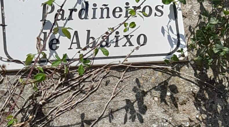 Pontevedra - Vigo - 821m2