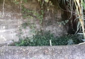 Terreno no urbanizable en venta en la Camiño Pardiñeiros de Abaixo, Vigo, ref: TR106218 foto