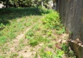 Terreno no urbanizable en venta en la Camiño Pardiñeiros de Abaixo, Vigo, ref: TR106218 foto