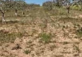 Terreny no urbanitzable en venda a la Cruz de Lola, Corral de Almaguer, ref.: TR106422 foto