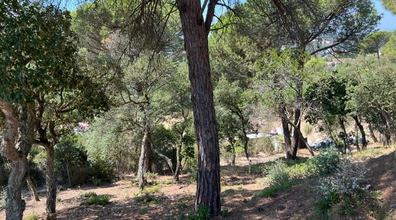 Gerona - Lloret de Mar - 1230m2