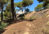Sòl urbà en venda a la Avinguda de la Senyera, Lloret de Mar, ref.: TR106346 foto