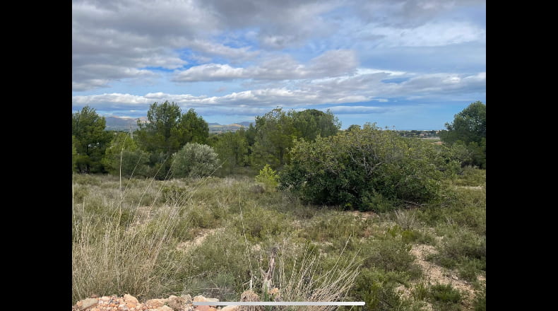 Valencia - Bétera - 15360m2