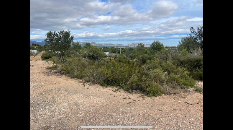 Valencia - Bétera - 15360m2