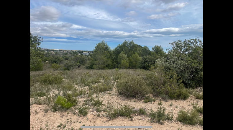 Valencia - Bétera - 15360m2