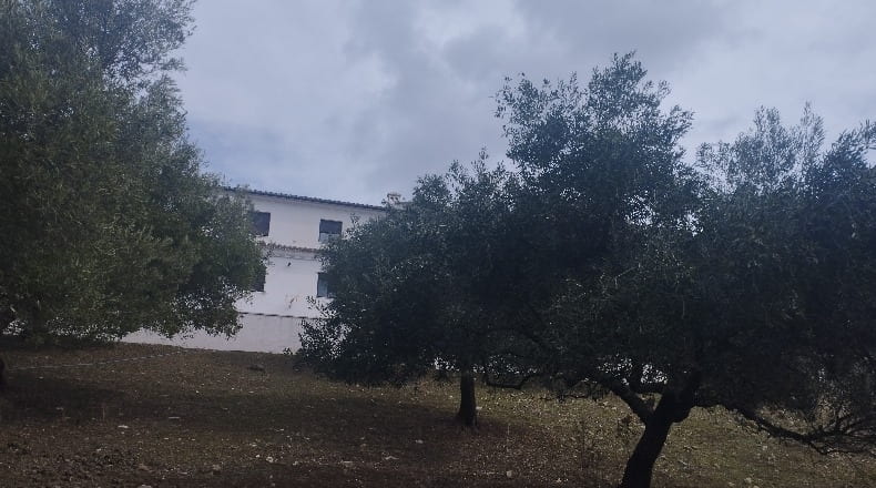 Málaga - Jimera de Líbar - 2970m2