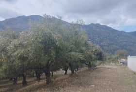 Jimera de Líbar 2970&nbsp;m² 
