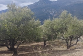 Jimera de Líbar 2970&nbsp;m² 
