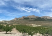 Land with storage building for sale on A-4200, Baza, ref: TR106429 photo