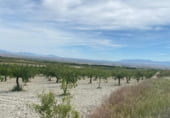 Land with storage building for sale on A-4200, Baza, ref: TR106429 photo