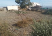 Terreny amb magatzem en venda a la Carretera de Alquián Viator, Almeria, ref.: TR106428 foto