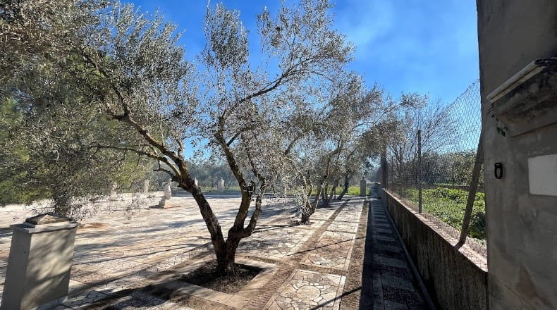 Cádiz - Arcos de la Frontera - 38000m2