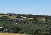Casa de camp amb terreny en venda a la CARRETERA ALGAR KM 4, Arcos de la Frontera, ref.: TR106440 foto