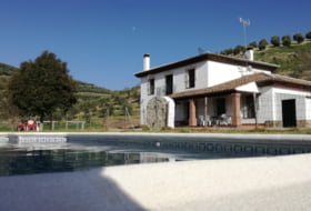 Venta de Leche 50000&nbsp;m² 