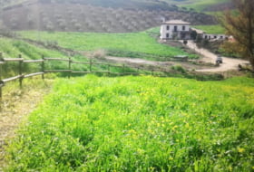 Venta de Leche 50000&nbsp;m² 