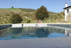 Venta de Leche 50000&nbsp;m² 