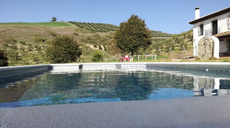 Cádiz - Venta de Leche - 50000m2
