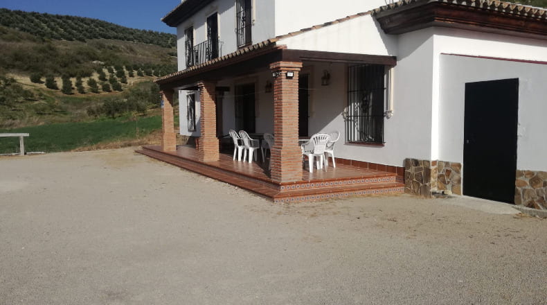 Cádiz - Venta de Leche - 50000m2