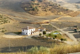 Venta de Leche 50000&nbsp;m² 