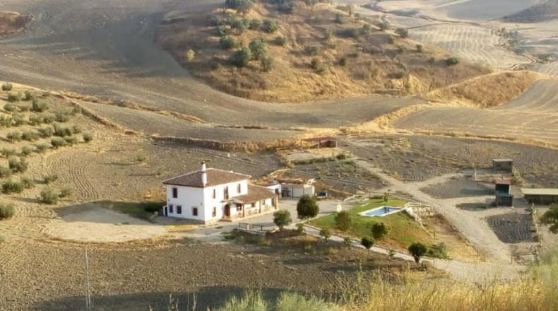 Cádiz - Venta de Leche - 50000m2
