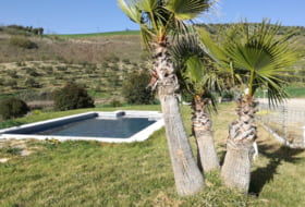 Venta de Leche 50000&nbsp;m² 
