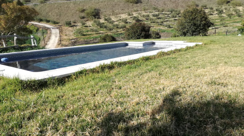 Cádiz - Venta de Leche - 50000m2