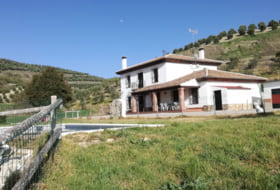 Venta de Leche 50000&nbsp;m² 