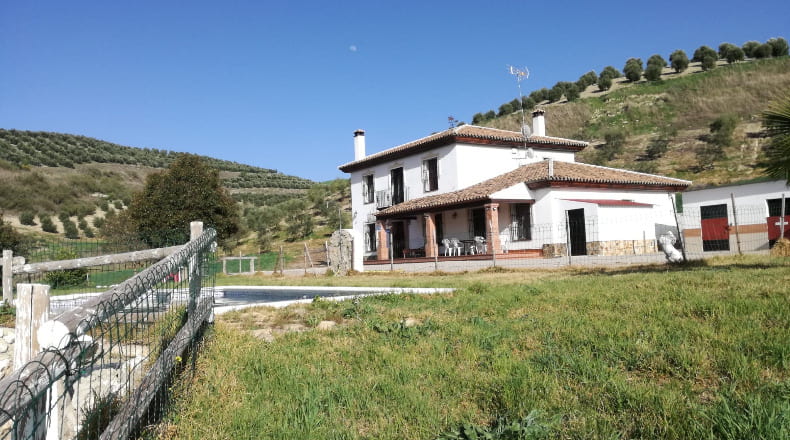 Cádiz - Venta de Leche - 50000m2
