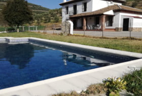 Venta de Leche 50000&nbsp;m² 