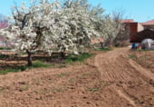 Sòl urbà en venda a la Calle La Barca, Santa Colomba de las Monjas, ref.: TR106538 foto