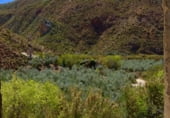 Finca rústica en venda a la FINCA EL PARAÍSO, Huesa, ref.: TR106564 foto