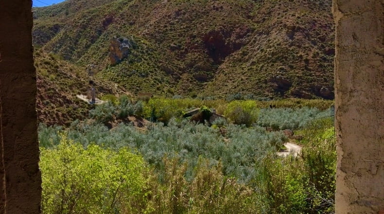 Jaén - Huesa - 2300m2