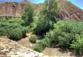 Finca rústica en venda a la FINCA EL PARAÍSO, Huesa, ref.: TR106564 foto
