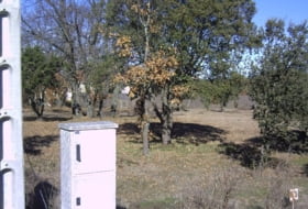 Fresno de Cantespino 2500&nbsp;m²