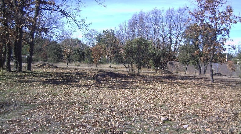 Segovia - Fresno de Cantespino - 2500m2